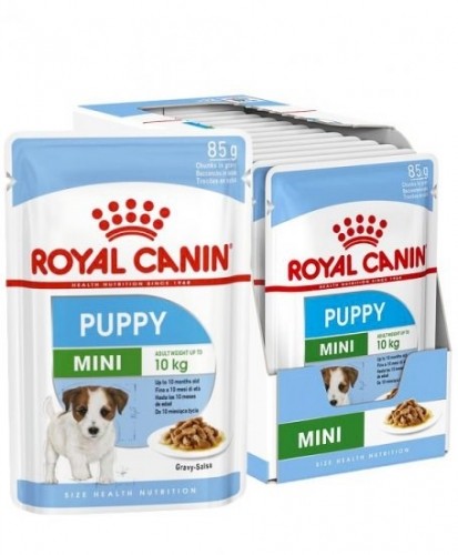 ROYAL CANIN SHN Mini Puppy in sauce - wet puppy food - 12X85g image 1
