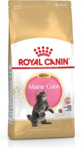Royal Canin Maine Coon Kitten cats dry food Poultry,Rice 4 kg image 1