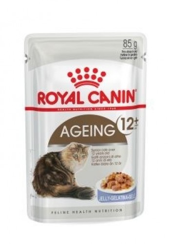 ROYAL CANIN FHN Ageing 12+ in jelly - wet food for senior cats - 12x85g image 1