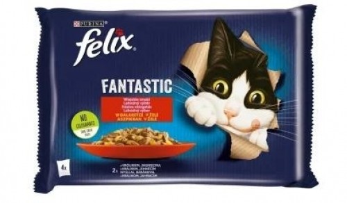 Purina Nestle Felix Fantastic rabbit, lamb - wet food for cats 340 g (4x 85 g) image 1