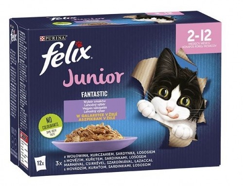 Purina Nestle Felix Fantastic jelly food for kittens in jelly beef, chicken, salmon, sardine - 12x 85 g image 1