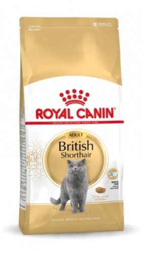 Royal Canin FBN British Shorthair Adult - dry cat food - 10kg image 1