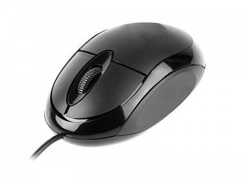 Tracer TRAMYS45906 mouse Right-hand USB Type-A Optical 800 DPI image 1