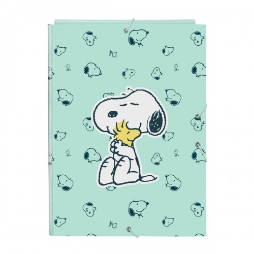 Папка Snoopy Groovy Зеленый A4 image 1
