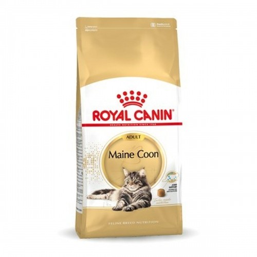 Cat food Royal Canin Maine Coon Adult + 1 year Adult Birds 10 kg image 1