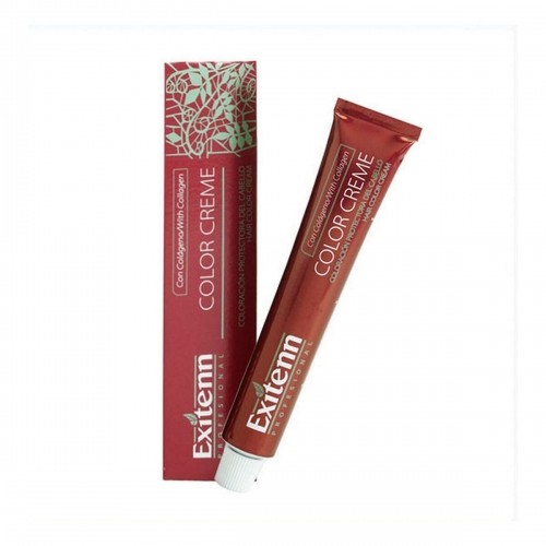 Permanent Dye Color Creme Exitenn Nº 666 Red Ruby (60 ml) image 1