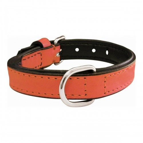 Dog collar Gloria Padded Coral (30 x 1,5 cm) image 1