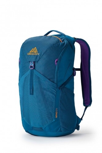 Trekking backpack - Gregory Nano 24 Icon Teal image 1