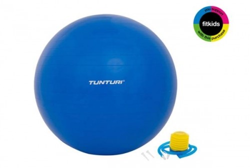 Tunturi Gymball 90cm, Blue image 1