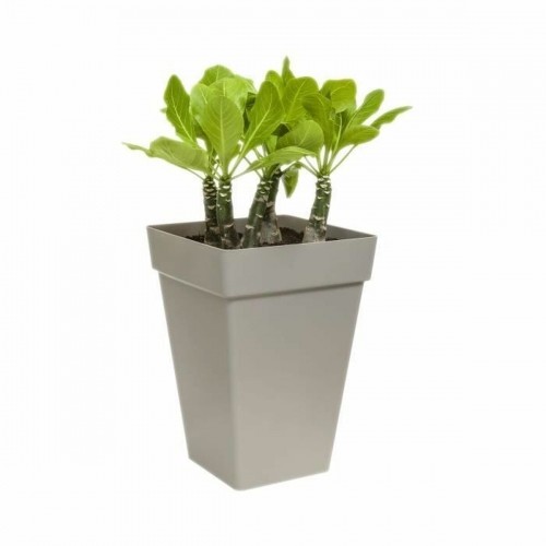 Plant pot Elho Ø 29,5 cm White polypropylene Plastic Squared Modern image 1