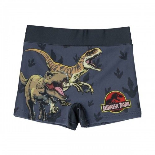 Zēnu Bokseršortu Peldbikses Jurassic Park Tumši pelēks image 1