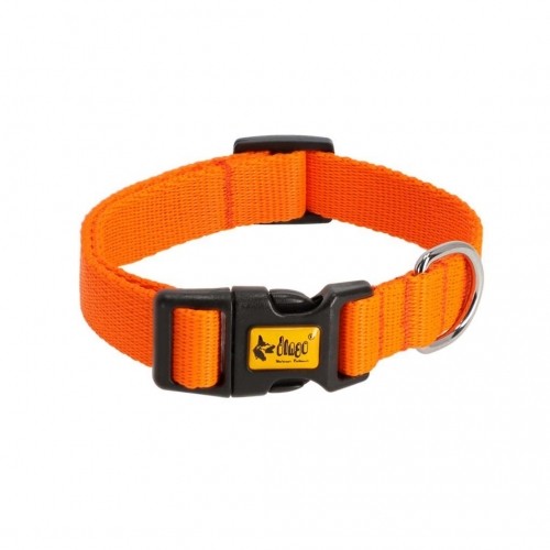 DINGO Energy orange - dog collar - 20-28 cm image 1