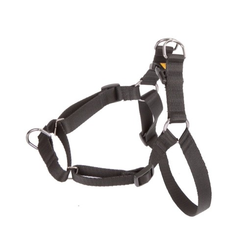 DINGO Easy Walk - Dog harness - 52-74 cm image 1