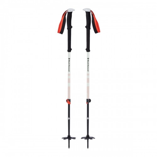 Trekking Stick Black Diamond Expedition 2 Black/Grey (2 Units) image 1