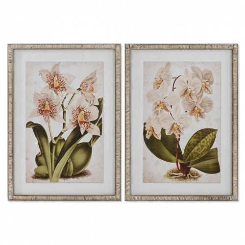 Glezna Home ESPRIT Tropiskais Orhideja 50 x 2,5 x 70 cm (2 gb.) image 1