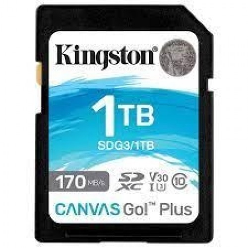 MEMORY SDXC 1TB UHS-I/SDG3/1TB KINGSTON image 1