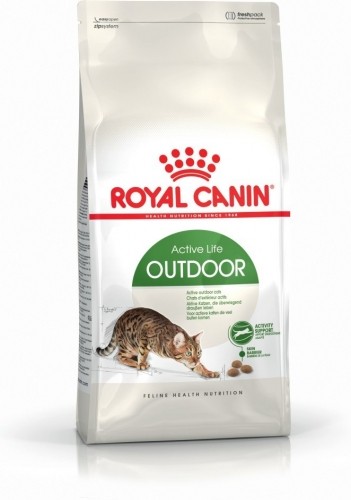 Royal Canin Active Life Outdoor cats dry food 4 kg Adult Poultry image 1