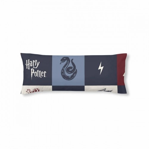 Spilvendrāna Harry Potter Hogwarts Daudzkrāsains 50 x 80 cm image 1