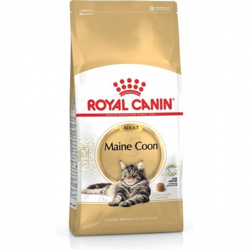 Cat food Royal Canin Adult 4 Kg Chicken image 1