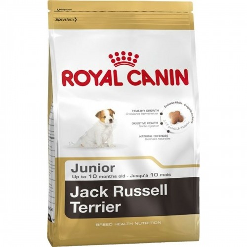 Fodder Royal Canin Jack Russell Junior Kid/Junior Rice Birds 3 Kg image 1