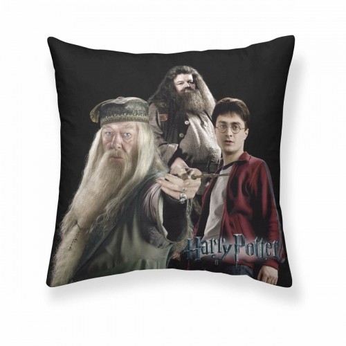 Чехол для подушки Harry Potter Team 50 x 50 cm image 1