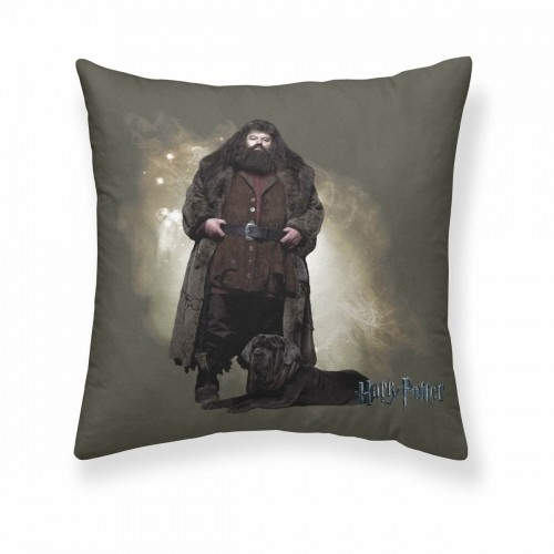 Cushion cover Harry Potter Hagrid 50 x 50 cm image 1