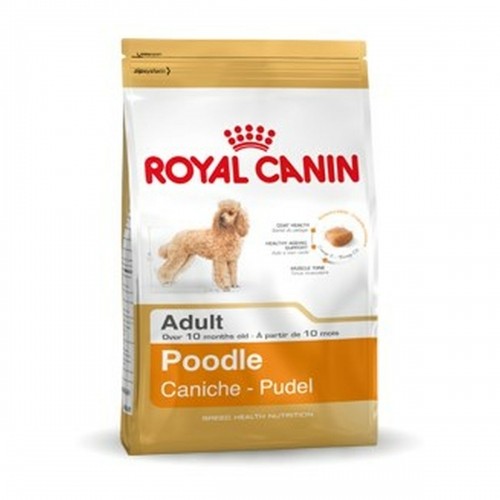 Fodder Royal Canin Poodle Adult Adult 1,5 Kg image 1