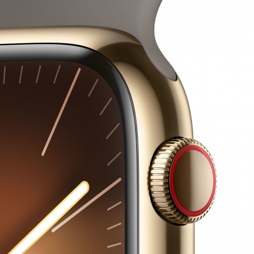 Умные часы Apple Watch Series 9 Коричневый Позолоченный 45 mm image 1