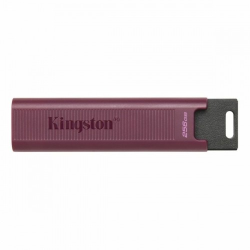 USB stick   Kingston Max         Red 256 GB image 1