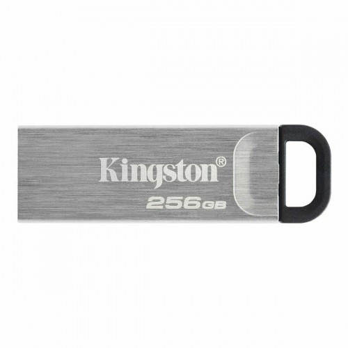 USВ-флешь память Kingston DTKN/256GB Чёрный 256 GB image 1