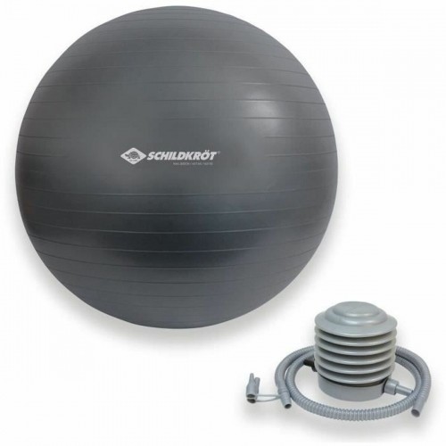 Medicine Ball Schildkröt Grey image 1