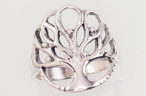 Серебряное кольцо #2101598(POx-Bk), Серебро 925°, оксид (покрытие), Размер: 18, 4.2 гр. image 1