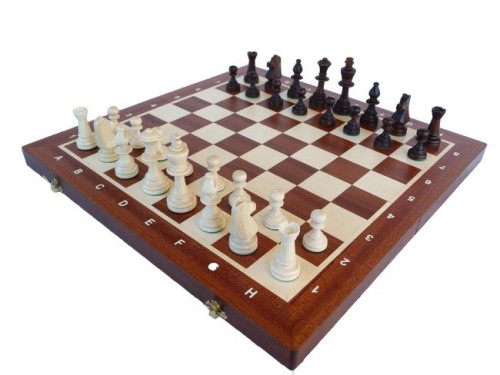 Šahs Chess Tournament No 5 Intars Nr.95 image 1