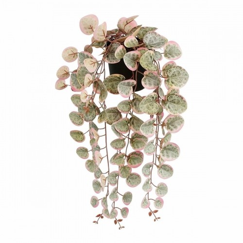 Декоративное растение Mica Decorations Ceropegia Woodii 10 x 46 x 12 cm Искусственная Для подвешивания image 1