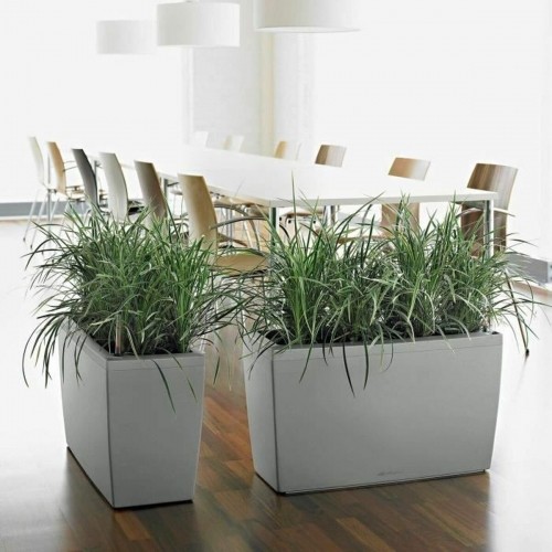 Plant pot Lechuza 75 x 30 x 43 cm Plastic Rectangular image 1