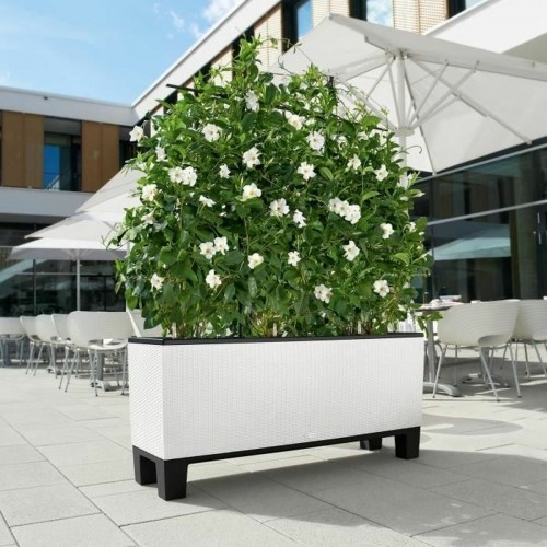 Plant pot Lechuza 32 x 100 x 34 cm White Plastic Rectangular image 1