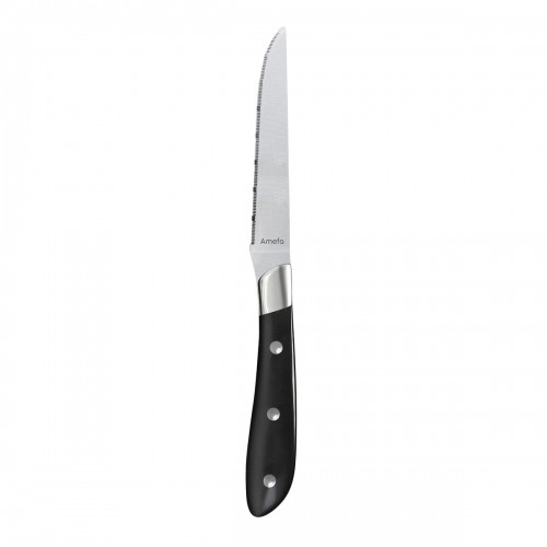Meat Knife Set Amefa Achille Metal 23 x 2,4 x 1,5 cm 6 Units image 1