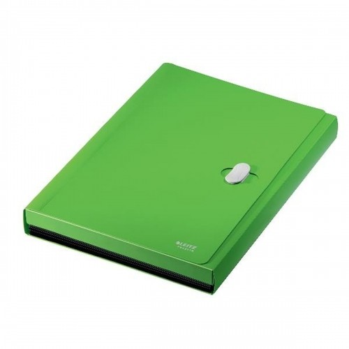 Organiser Folder Leitz 46240055 Green A4 image 1