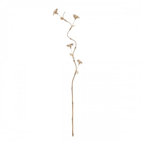 Branch Beige Flower 27 x 27 x 170 cm image 1