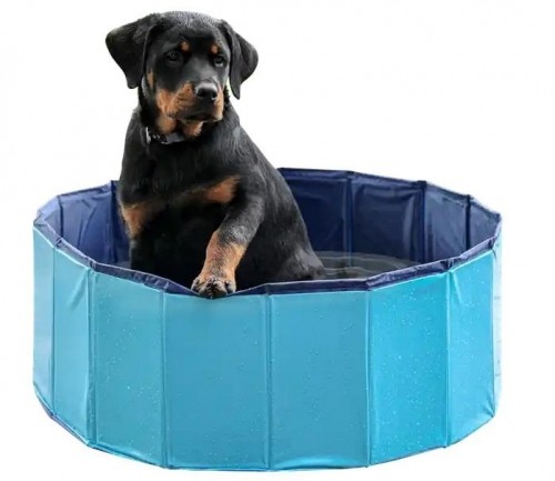 PETITTO Folding dog pool - 160x30cm image 1