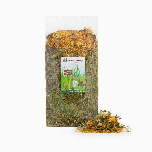 FACTORYHERBS Co w trawie piszczy Mixture of grasses and herb - treat for rodents and rabbits - 500g image 1