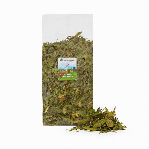 FACTORYHERBS Plantain leaf - treat for rodents and rabbits - 300g image 1