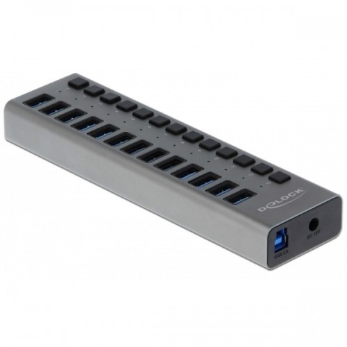 Delock Externer SuperSpeed USB Hub mit 13 Ports + Schalter, USB-Hub image 1