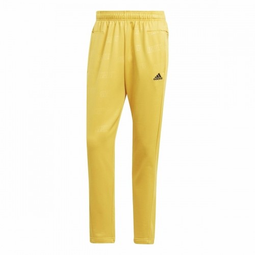 Football Training Trousers for Adults Adidas Men M image 1
