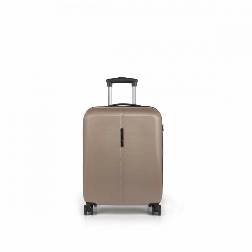 Suitcase GaBOL image 1