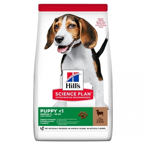 Hill's 52742025735 dogs dry food 14 kg Puppy Lamb, Rice image 1