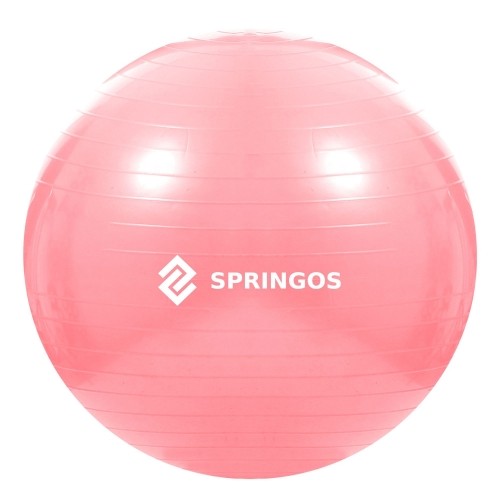 Мяч для упражнений с насосом Springos FB0012 75 см image 1