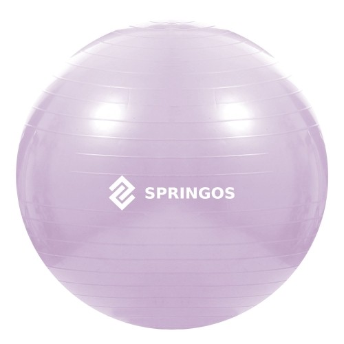 Мяч для упражнений с насосом Springos FB0011 65 см image 1