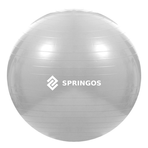 Мяч для упражнений с насосом Springos FB0008 75см image 1