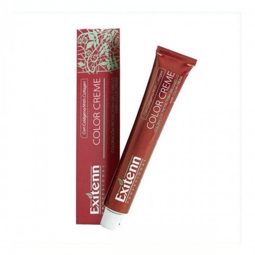 Permanent Dye Color Creme Exitenn Nº 660 Passion-Red (60 ml) image 1